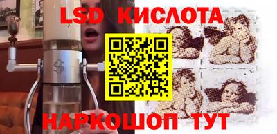 прущие грибы Нальчик