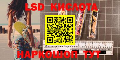 прущие грибы Нальчик