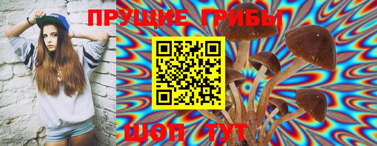 Галлюциногенные грибы MAGIC MUSHROOMS Волгодонск