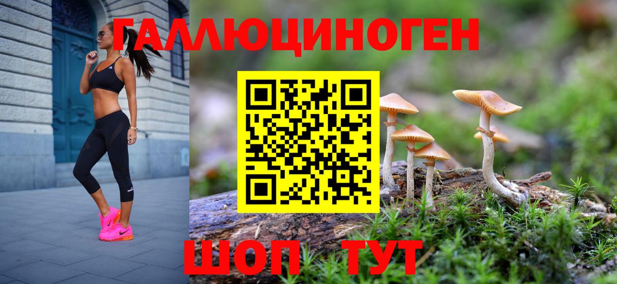 Псилоцибиновые грибы Cubensis  Вход с VPN  Волгодонск 