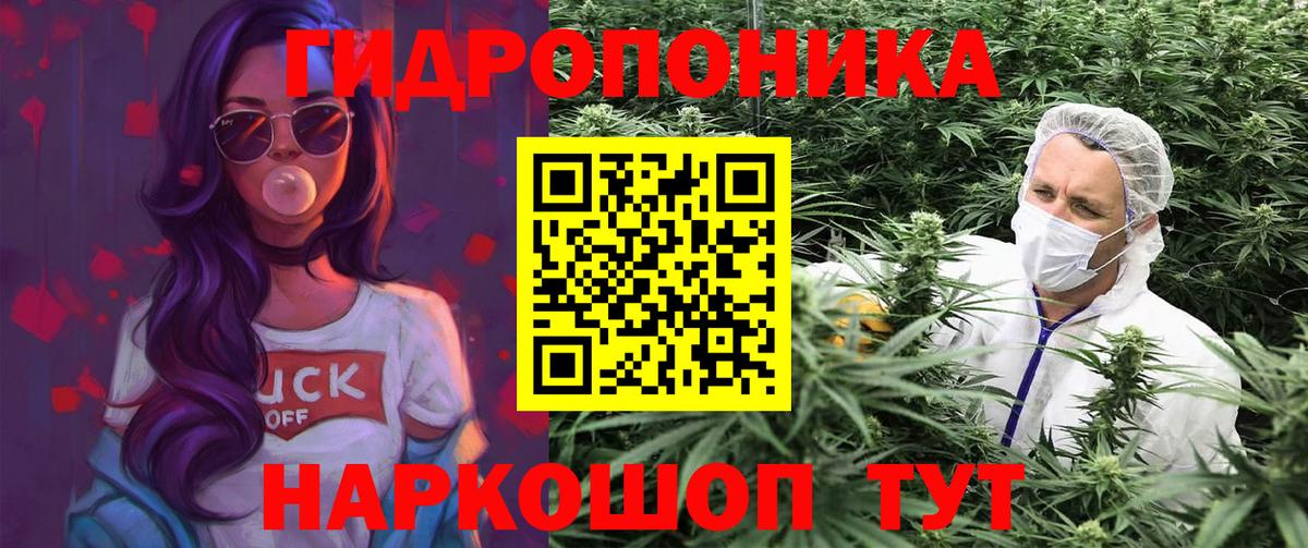 Волгодонск  Канабис Amnesia  Каннабис ГИДРОПОН  Конопля VHQ  Канабис SATIVA & INDICA  Вход с VPN 